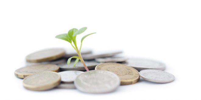 معلومات عن صناديق الاستثمار موسوعة عين